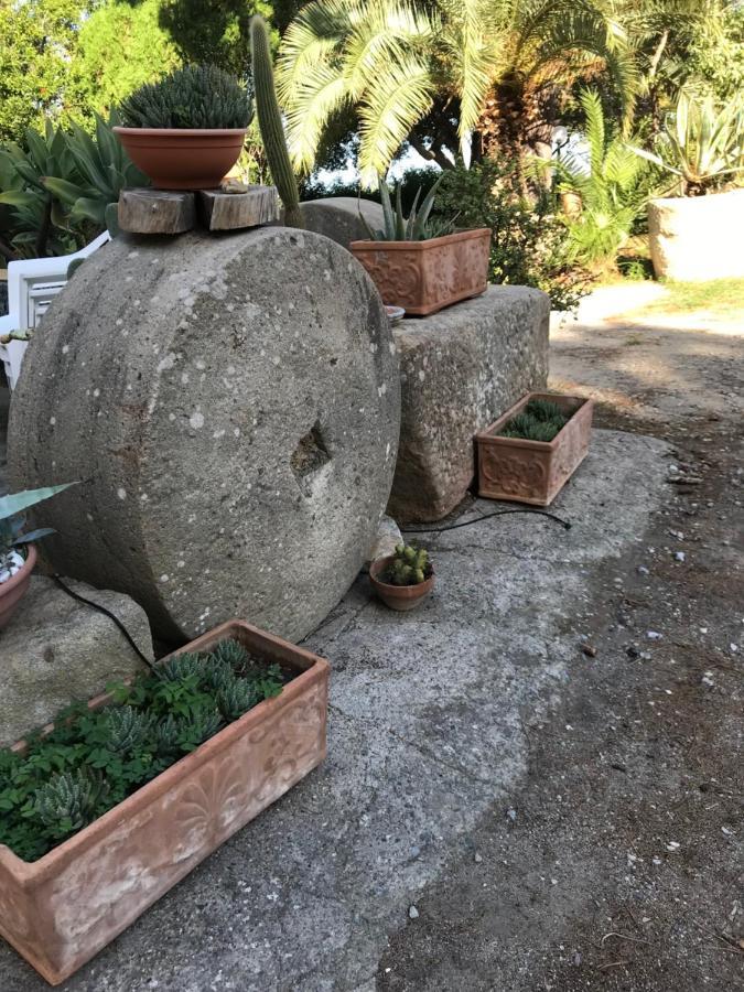 טינדארי A Casa Di Peppino Villa Greco מראה חיצוני תמונה