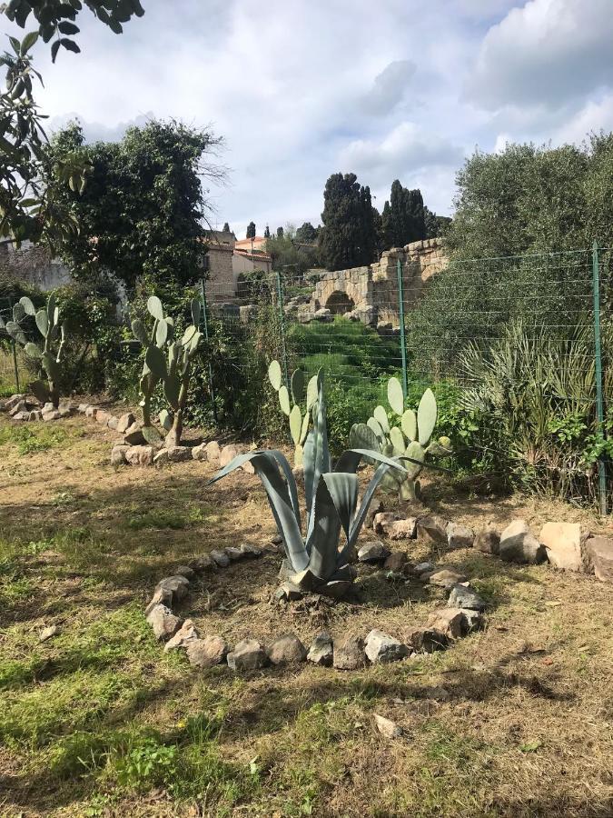 טינדארי A Casa Di Peppino Villa Greco מראה חיצוני תמונה