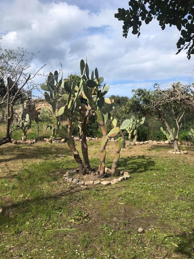 טינדארי A Casa Di Peppino Villa Greco מראה חיצוני תמונה