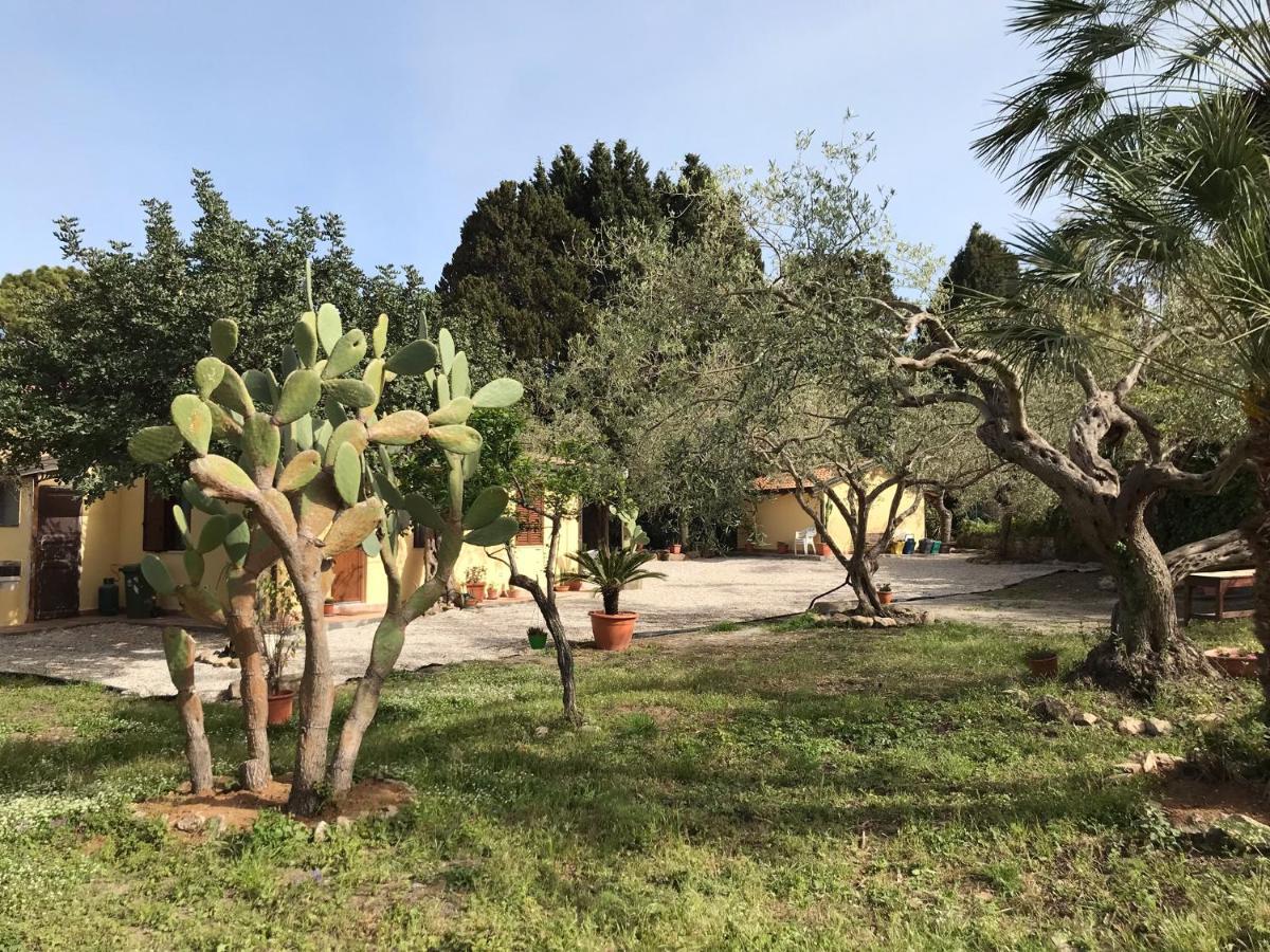 טינדארי A Casa Di Peppino Villa Greco מראה חיצוני תמונה