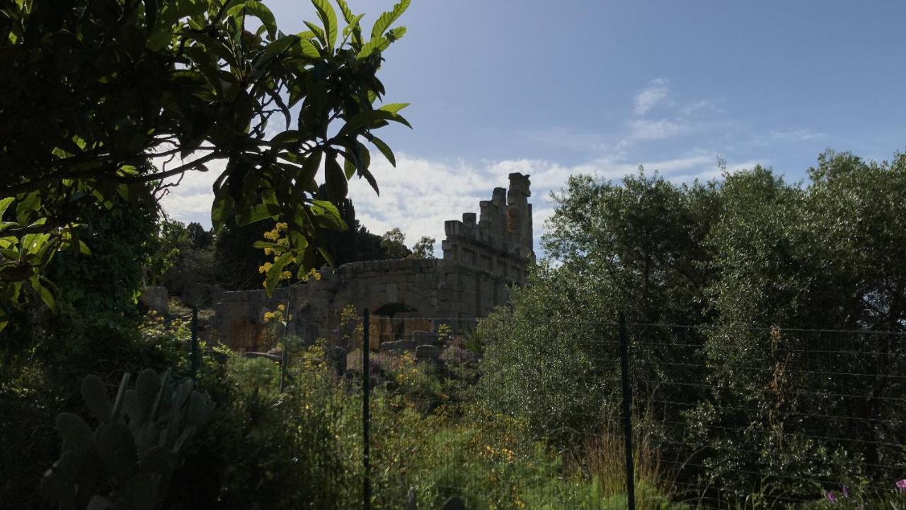 טינדארי A Casa Di Peppino Villa Greco מראה חיצוני תמונה