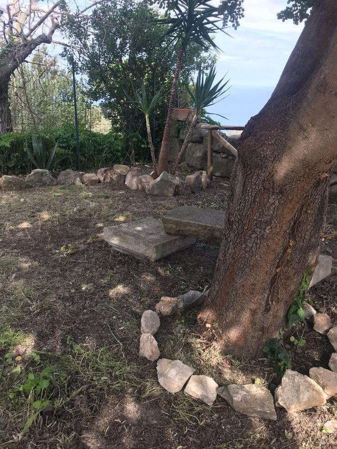 טינדארי A Casa Di Peppino Villa Greco מראה חיצוני תמונה
