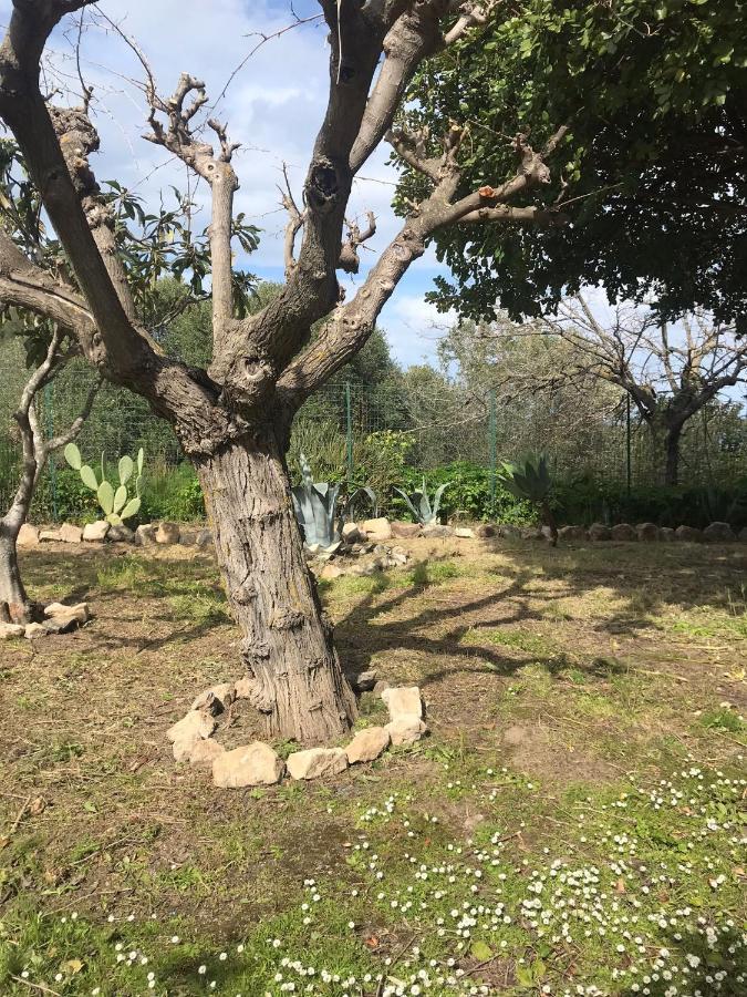 טינדארי A Casa Di Peppino Villa Greco מראה חיצוני תמונה