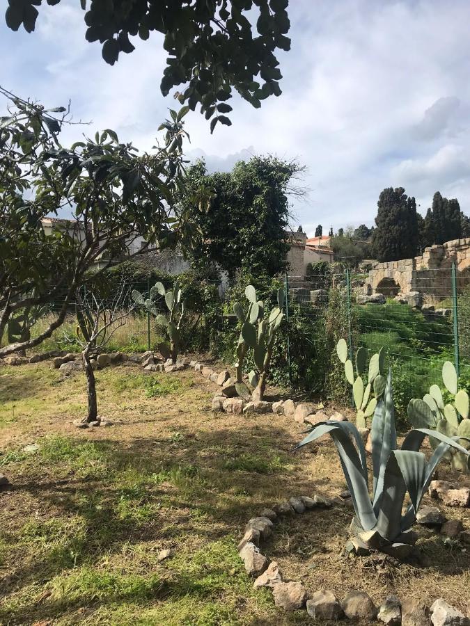טינדארי A Casa Di Peppino Villa Greco מראה חיצוני תמונה