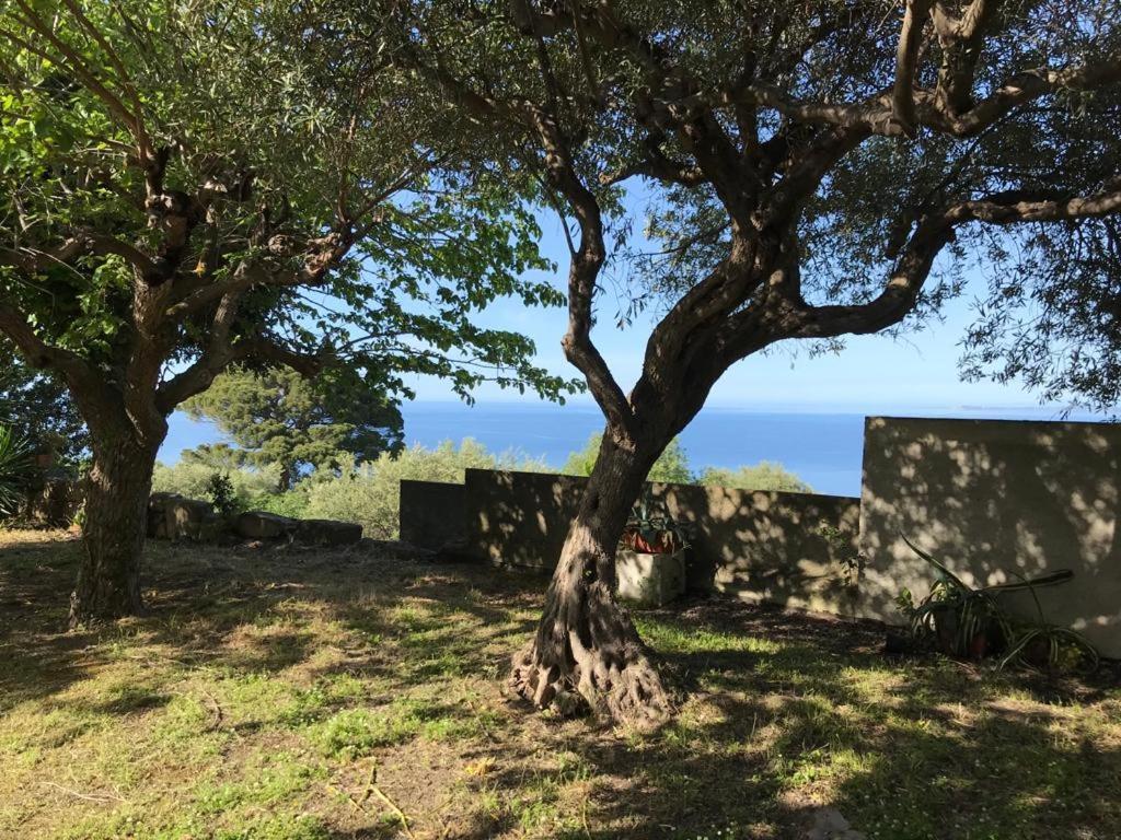 טינדארי A Casa Di Peppino Villa Greco מראה חיצוני תמונה