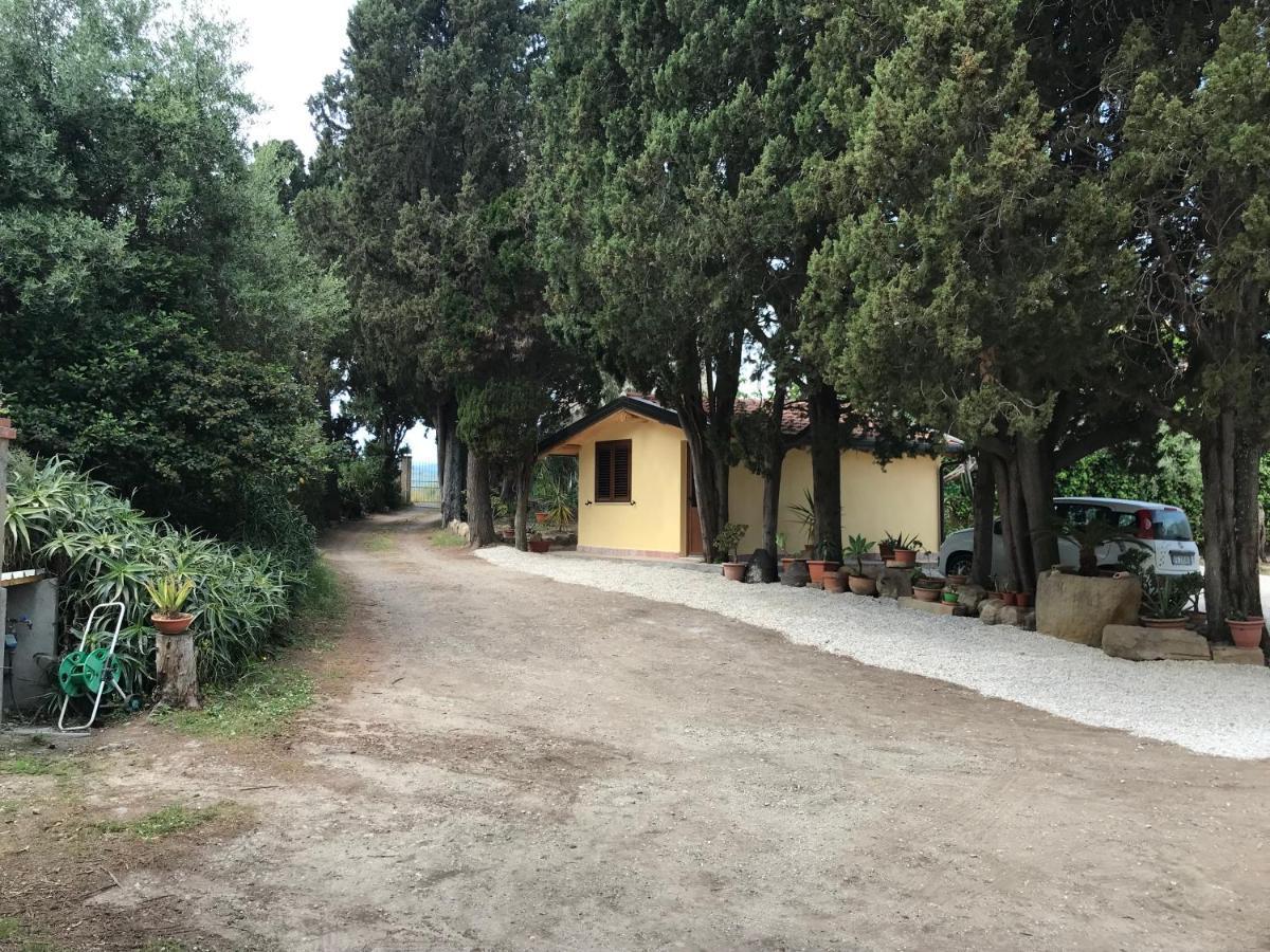 טינדארי A Casa Di Peppino Villa Greco מראה חיצוני תמונה