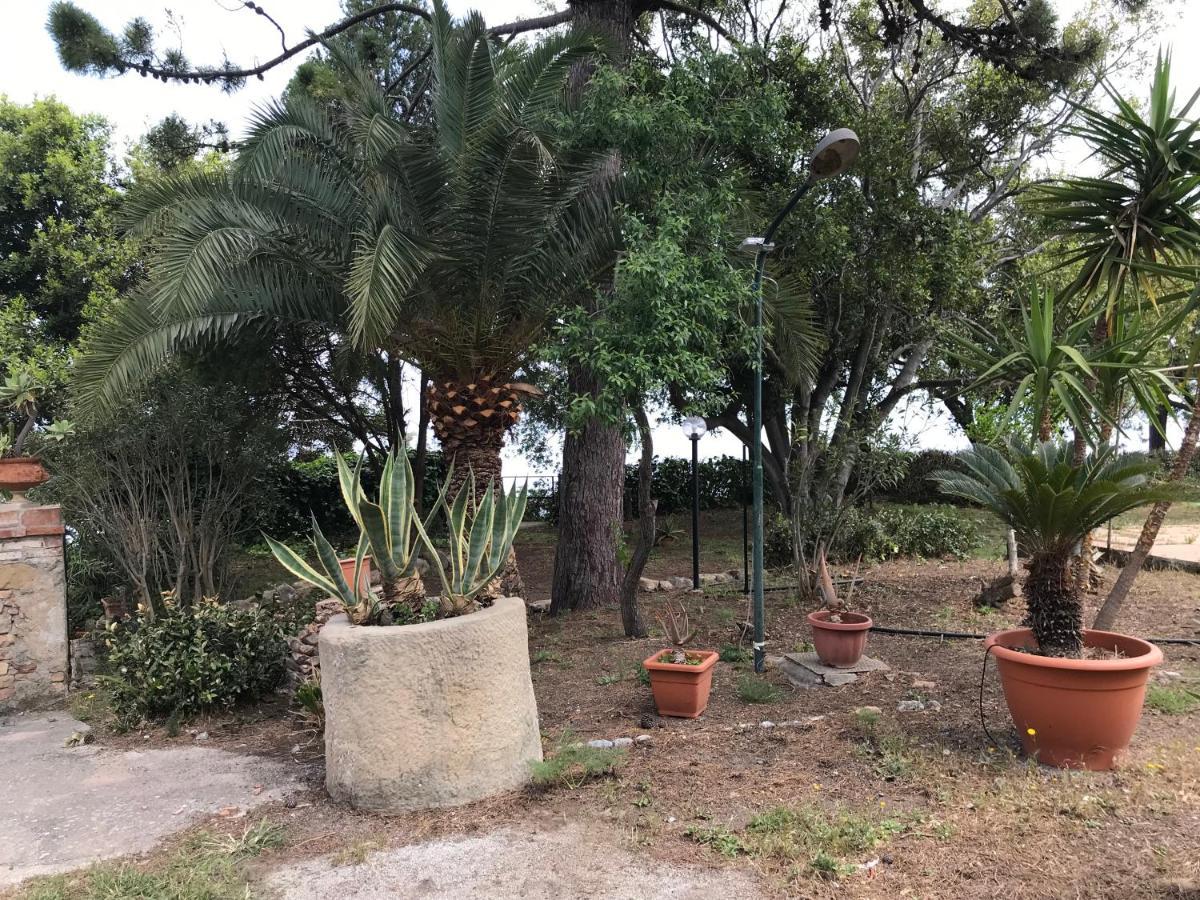 טינדארי A Casa Di Peppino Villa Greco מראה חיצוני תמונה