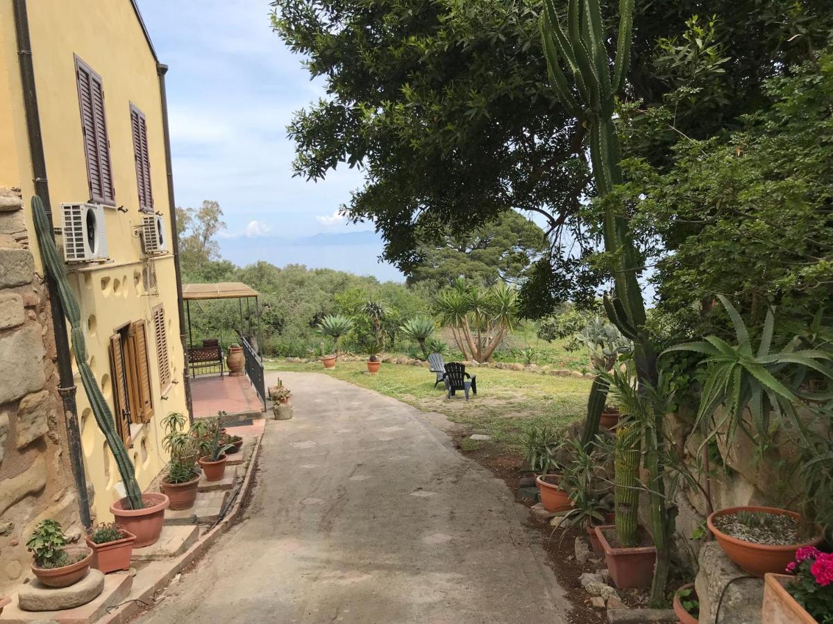 טינדארי A Casa Di Peppino Villa Greco מראה חיצוני תמונה