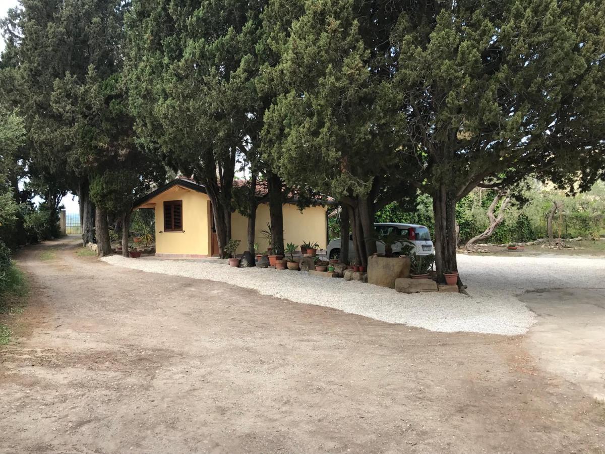 טינדארי A Casa Di Peppino Villa Greco מראה חיצוני תמונה